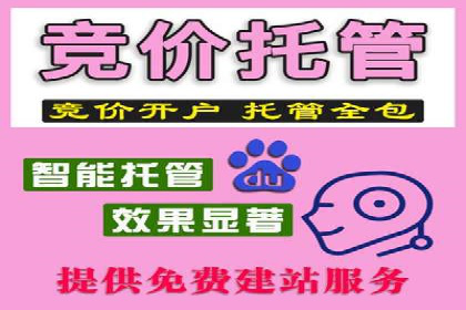 SEO与百度广告的结合：双管齐下的推广案例